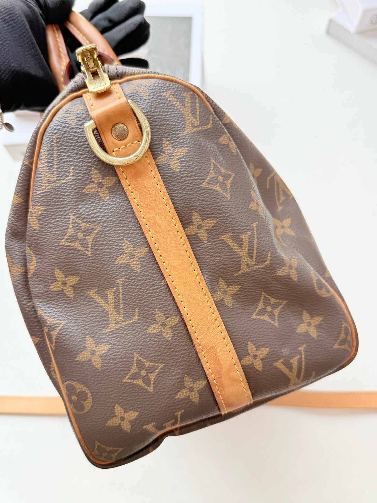 Louis Vuitton - Speedy 30 - Cloth - Brown - (medium)