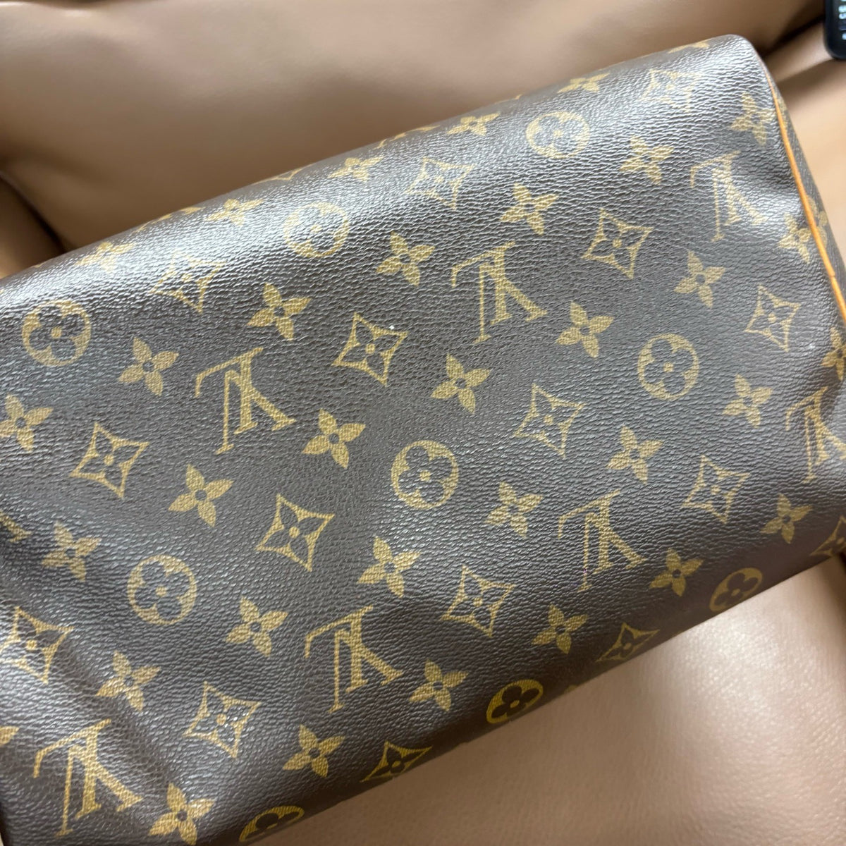 Louis Vuitton - Speedy 30 - Cloth - Brown - (medium)