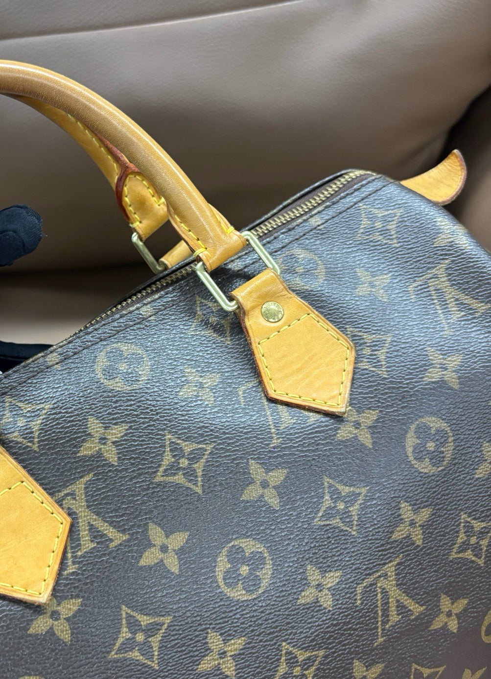Louis Vuitton - Speedy 30 - Cloth - Brown - (medium)