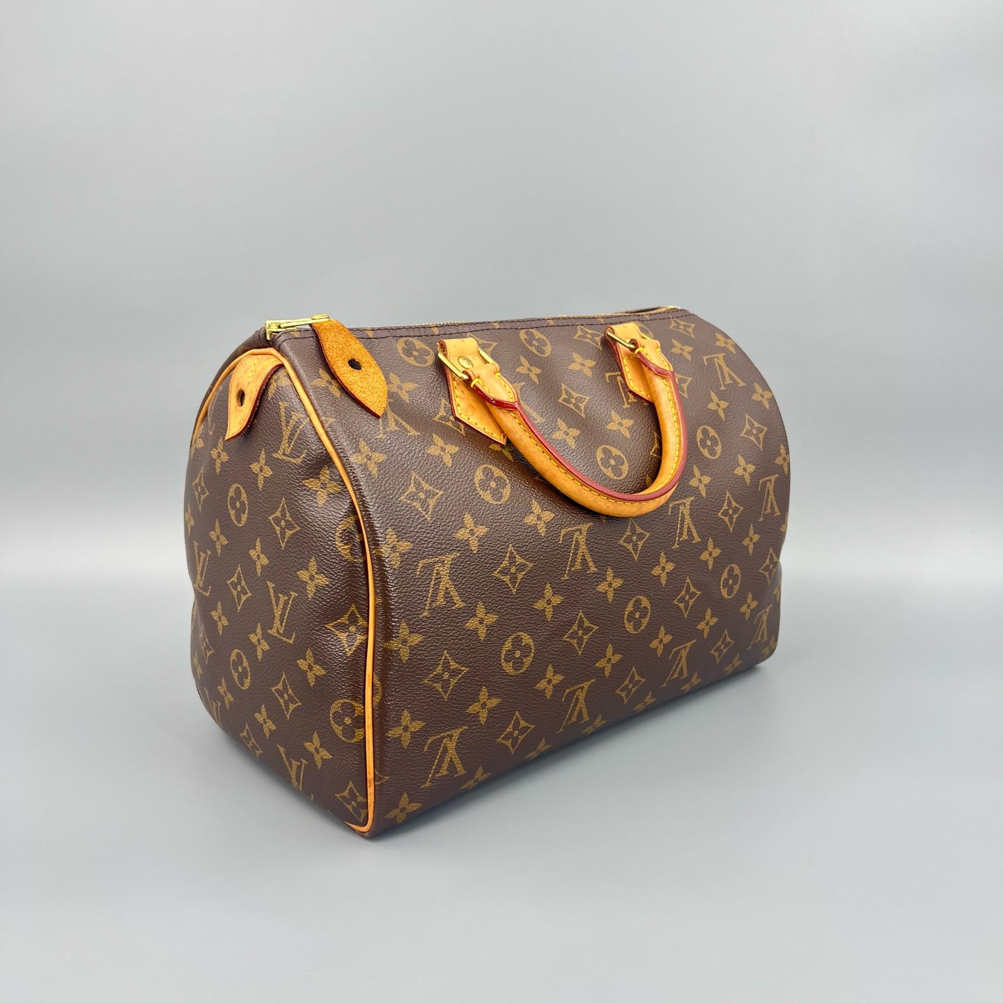 Louis Vuitton - Speedy 30 - Cloth - Brown - (medium)
