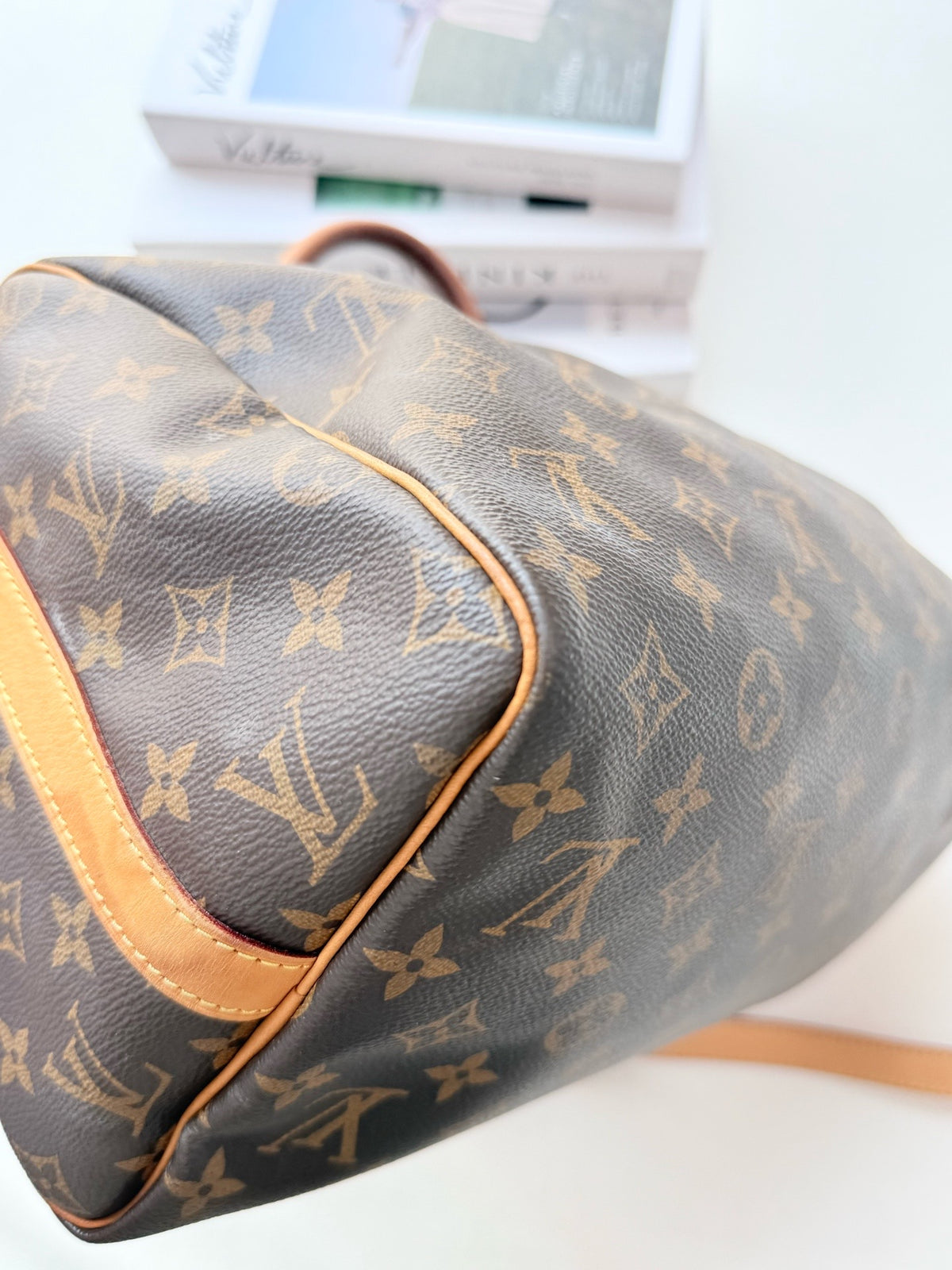 Louis Vuitton - Speedy 30 - Cloth - Brown - (medium)