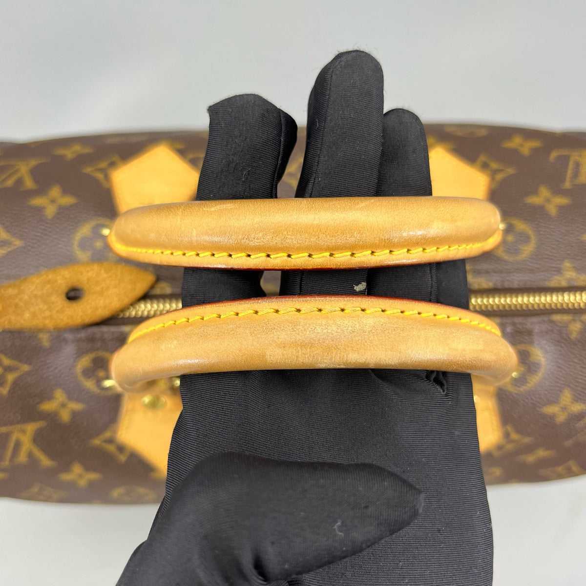Louis Vuitton - Speedy 30 - Cloth - Brown - (medium)