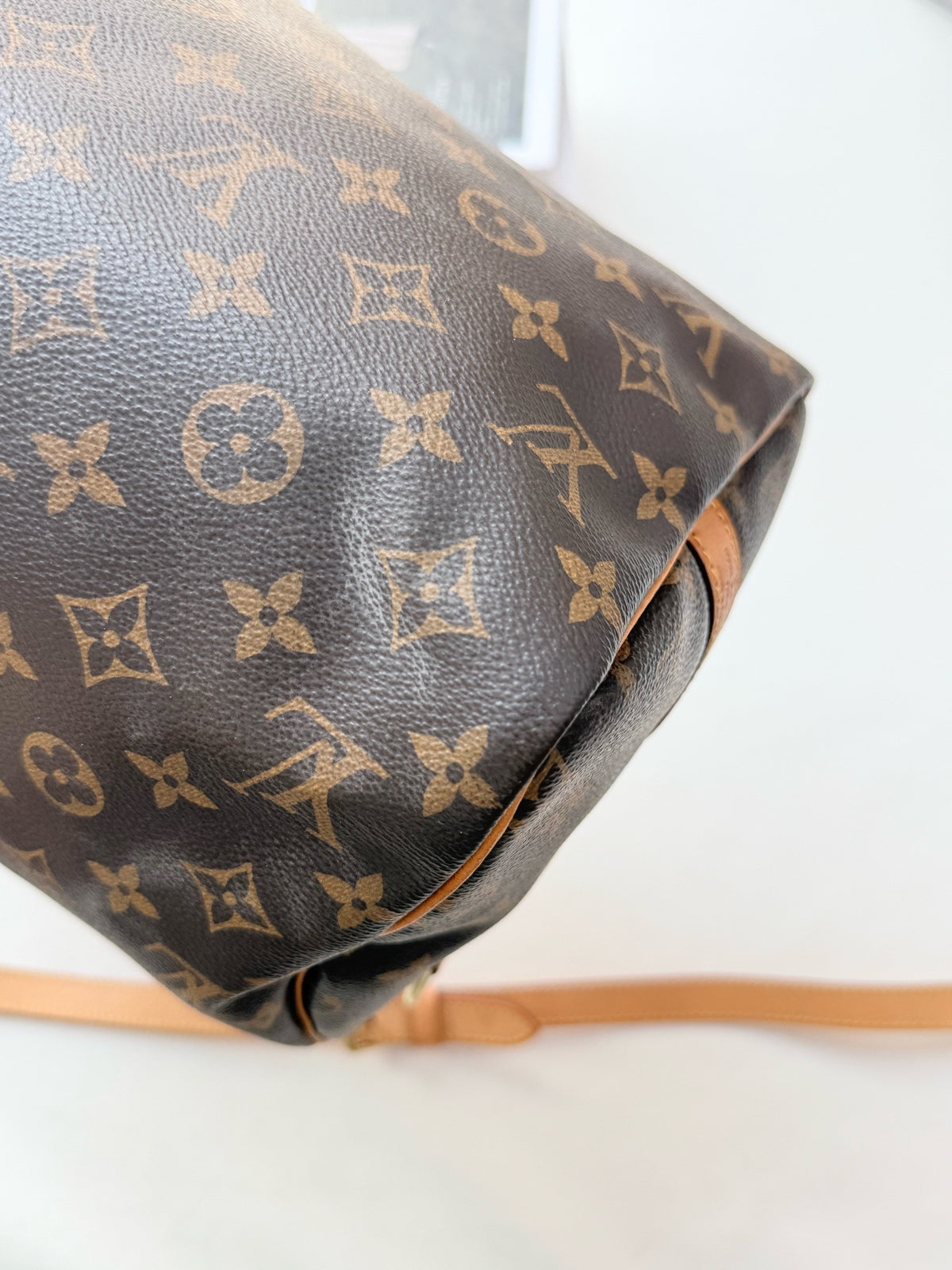 Louis Vuitton - Speedy 30 - Cloth - Brown - (medium)