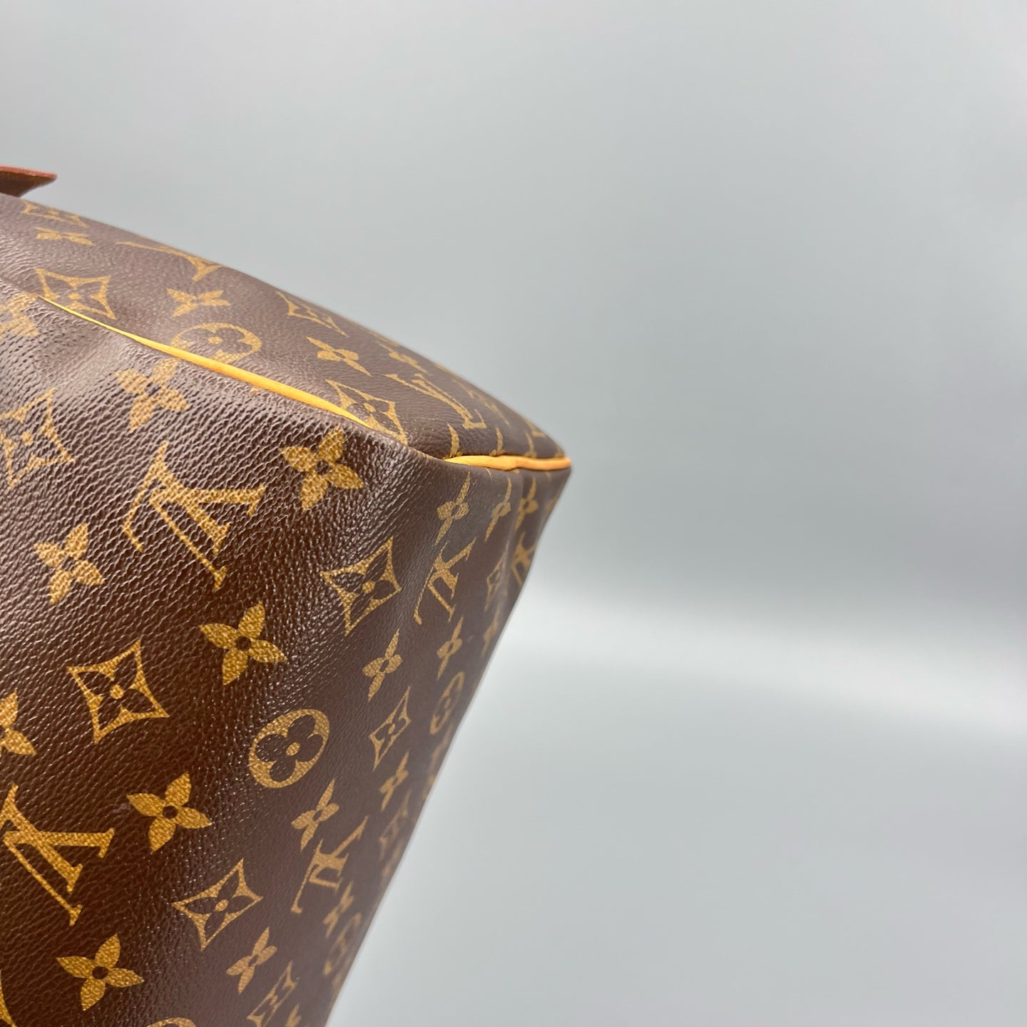 Louis Vuitton - Speedy 30 - Cloth - Brown - (medium)