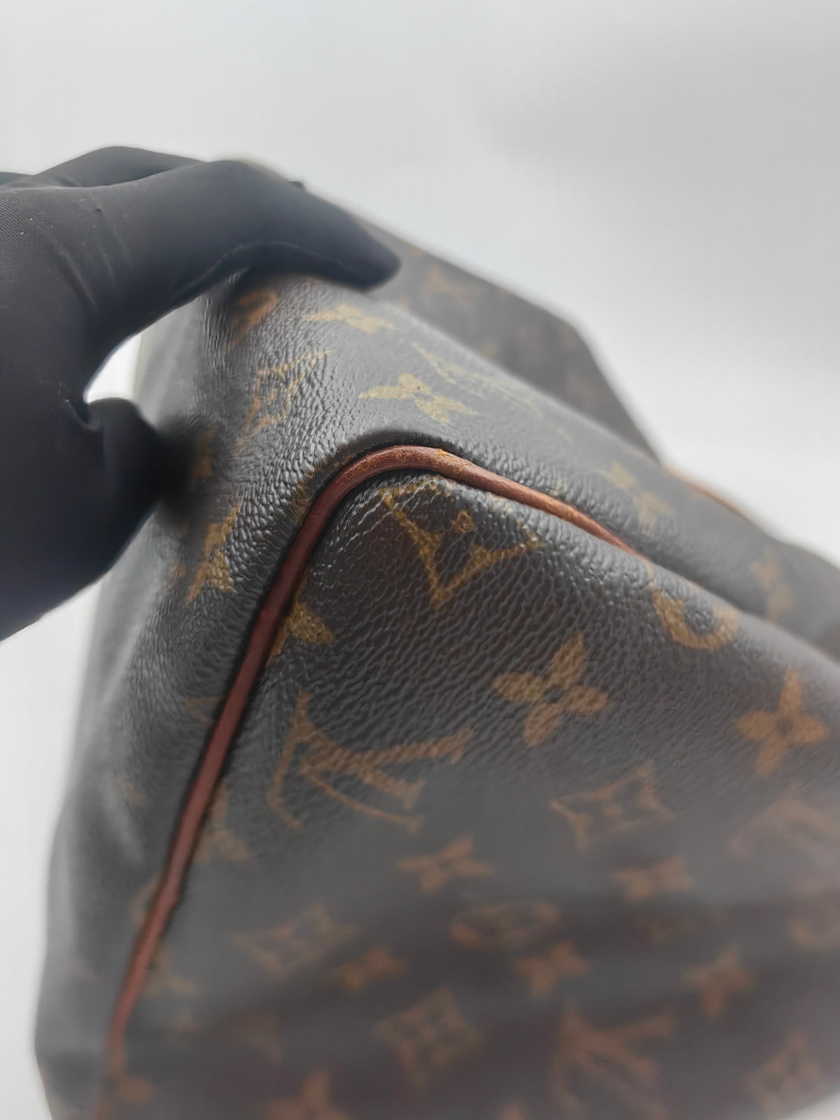 Louis Vuitton - Speedy 30 - Cloth - Brown - (medium)