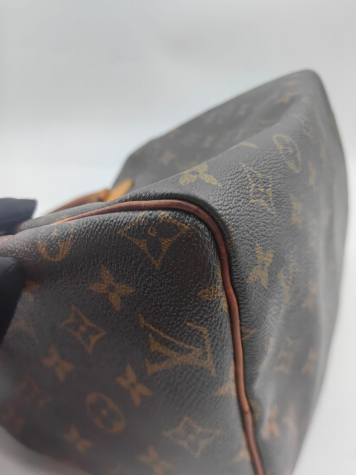 Louis Vuitton - Speedy 30 - Cloth - Brown - (medium)