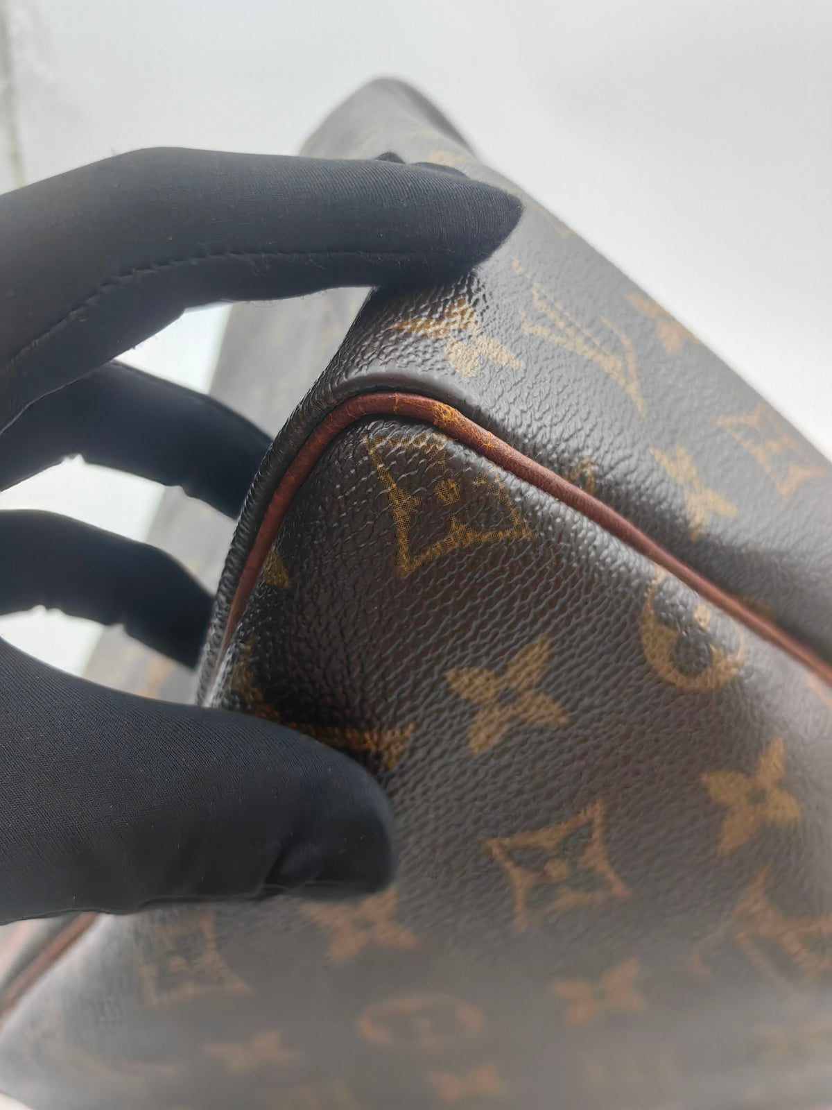 Louis Vuitton - Speedy 30 - Cloth - Brown - (medium)