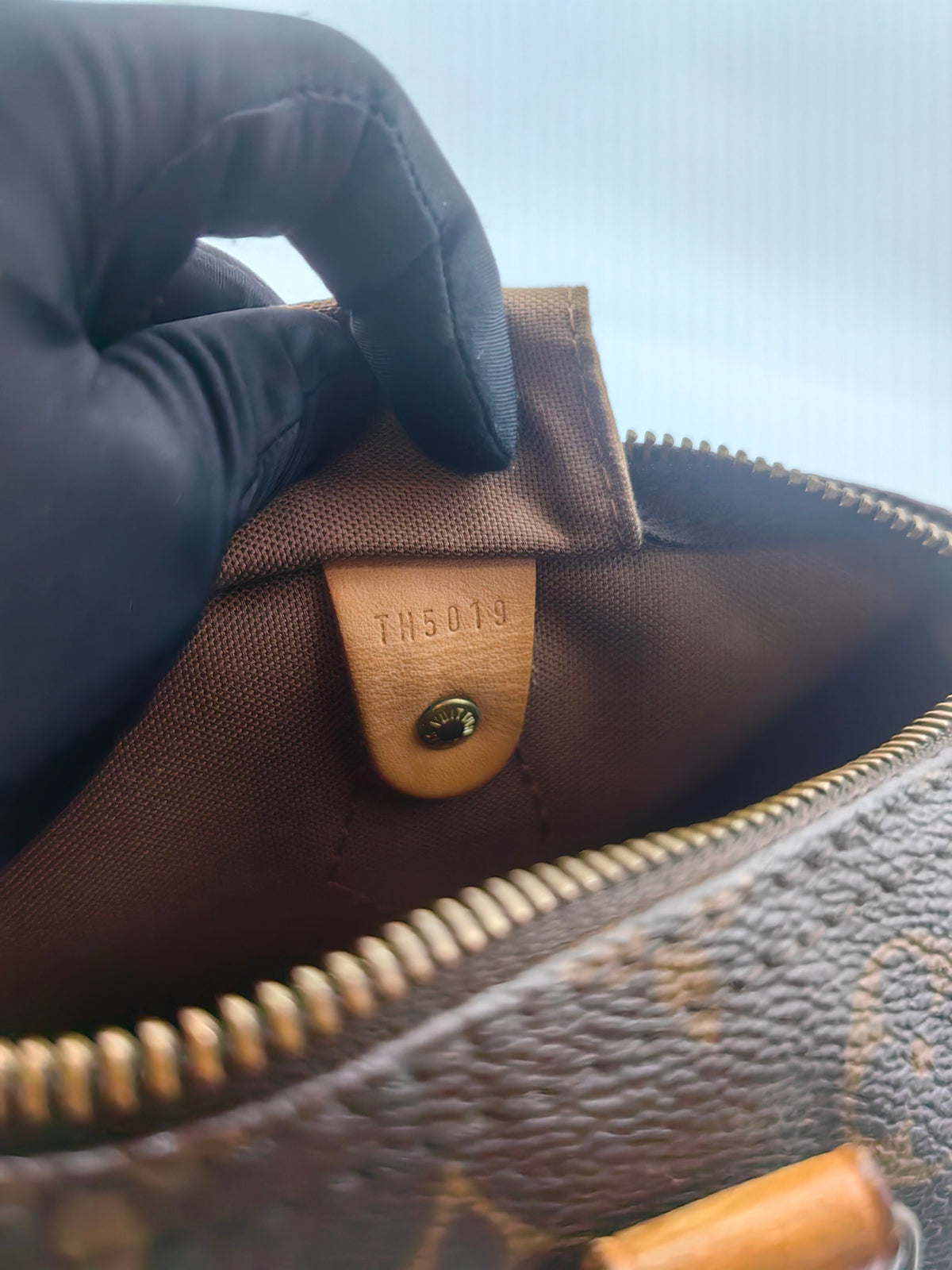 Louis Vuitton - Speedy 30 - Cloth - Brown - (medium)