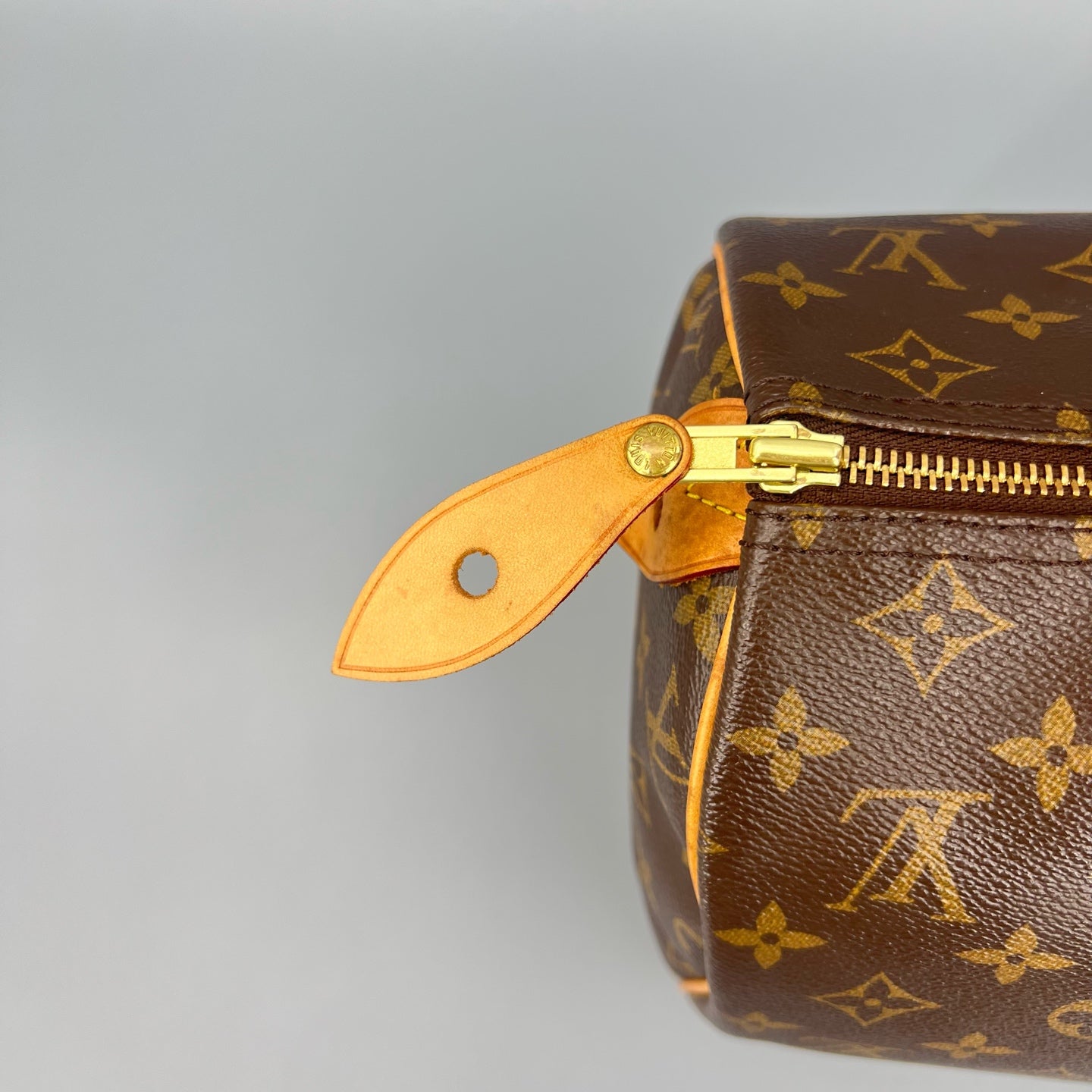 Louis Vuitton - Speedy 30 - Cloth - Brown - (medium)