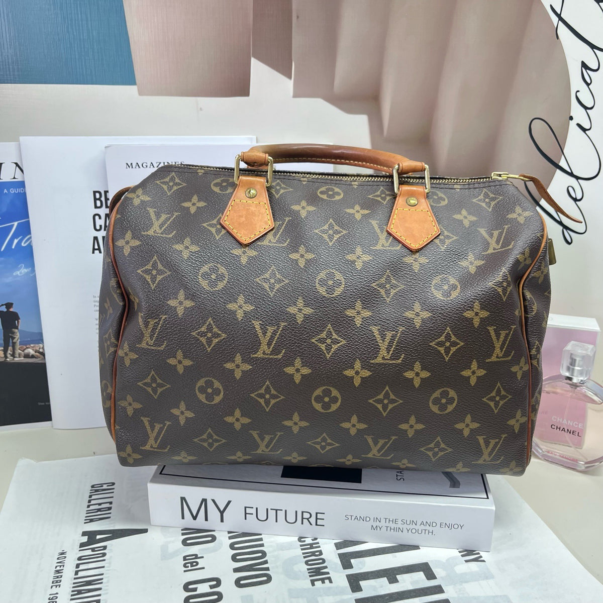 Louis Vuitton - Speedy 30 - Cloth - Grey - (medium)
