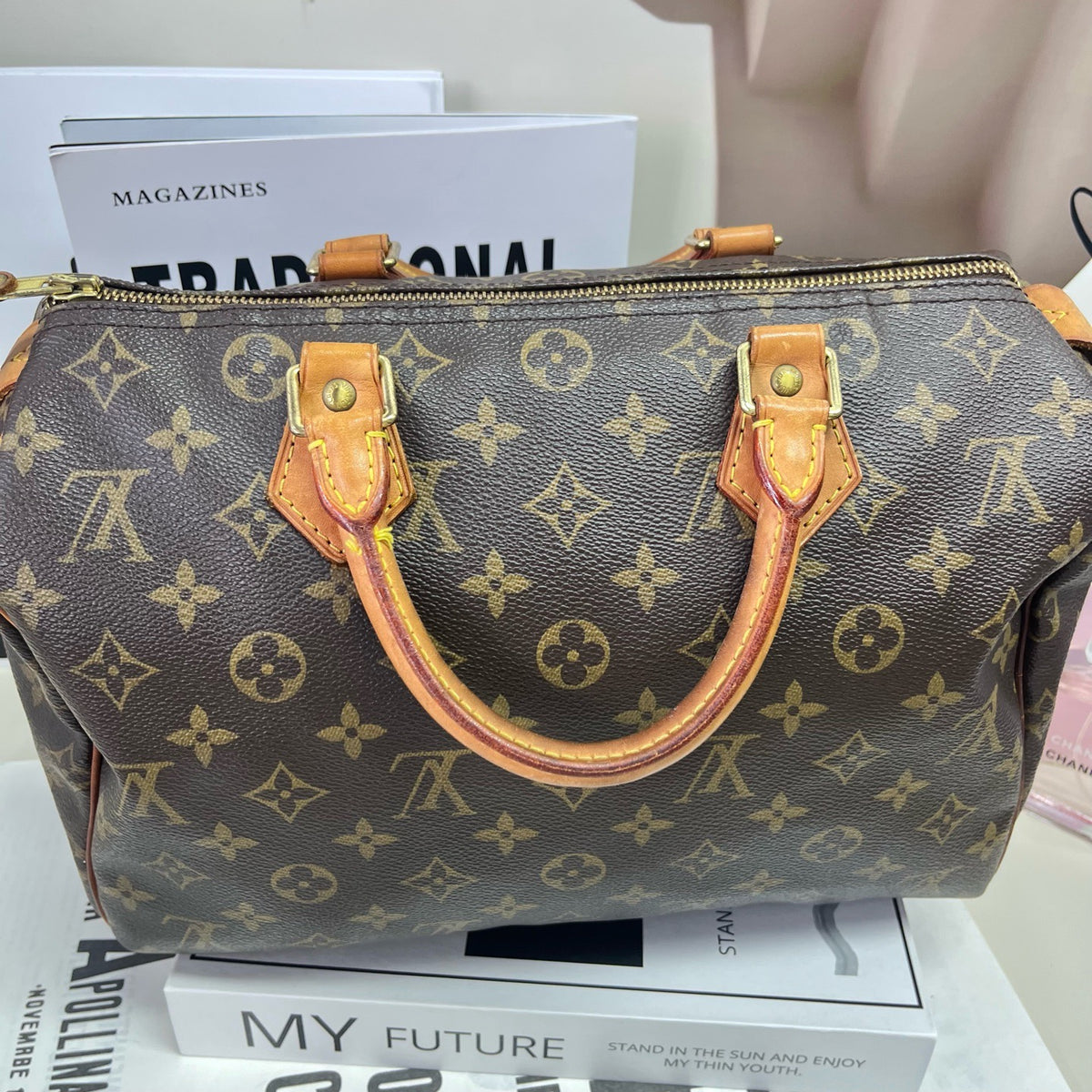 Louis Vuitton - Speedy 30 - Cloth - Grey - (medium)