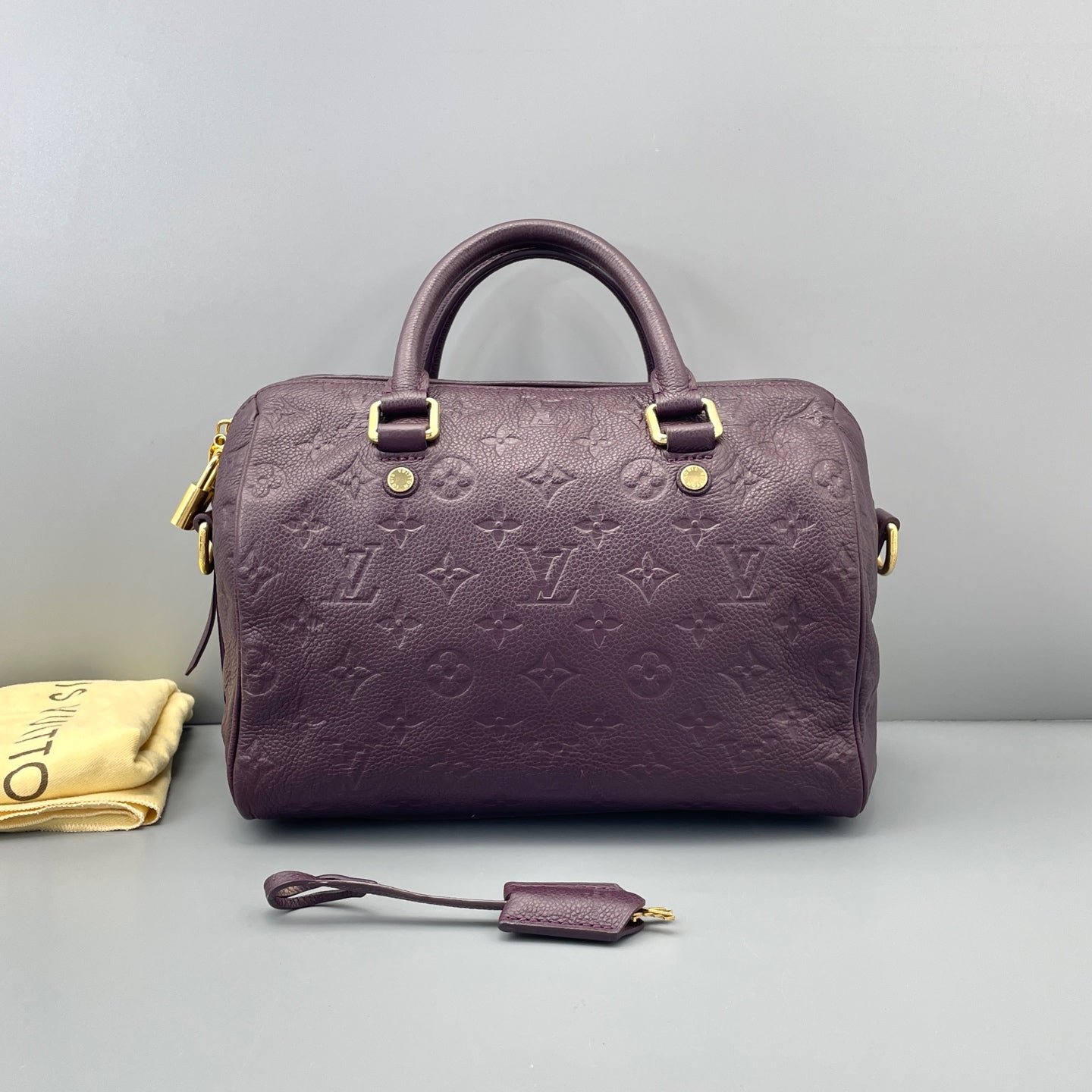 Louis Vuitton - Speedy Bandoulière 25 - Leather - Purple - (small)