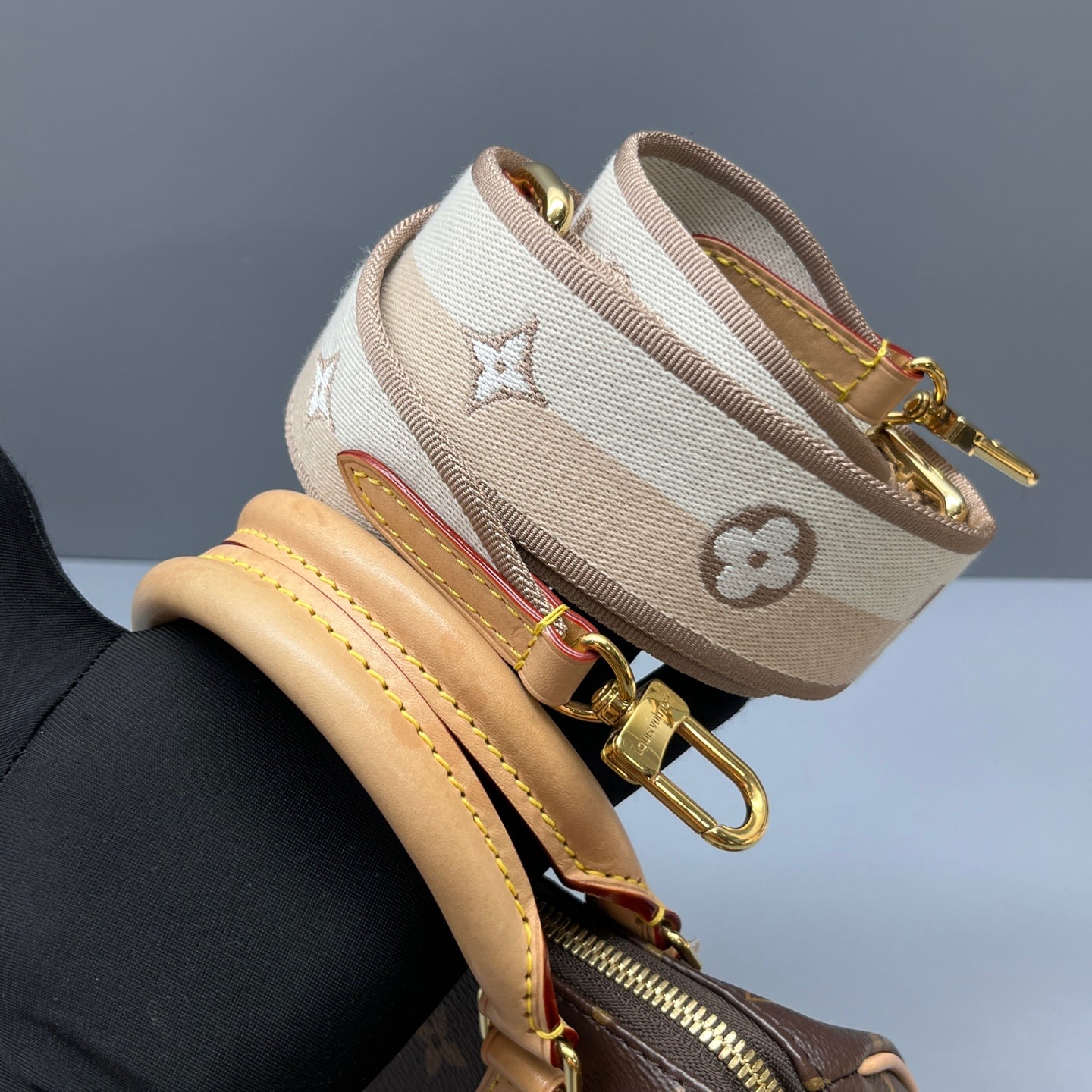 Louis Vuitton - Speedy Bandoulière - Synthetic - Brown - (mini)