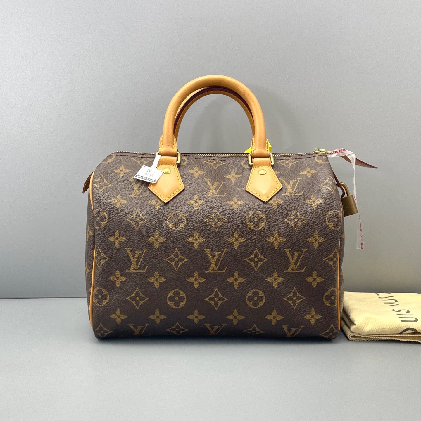 Louis Vuitton - Speedy - Cloth - Brown - (25)