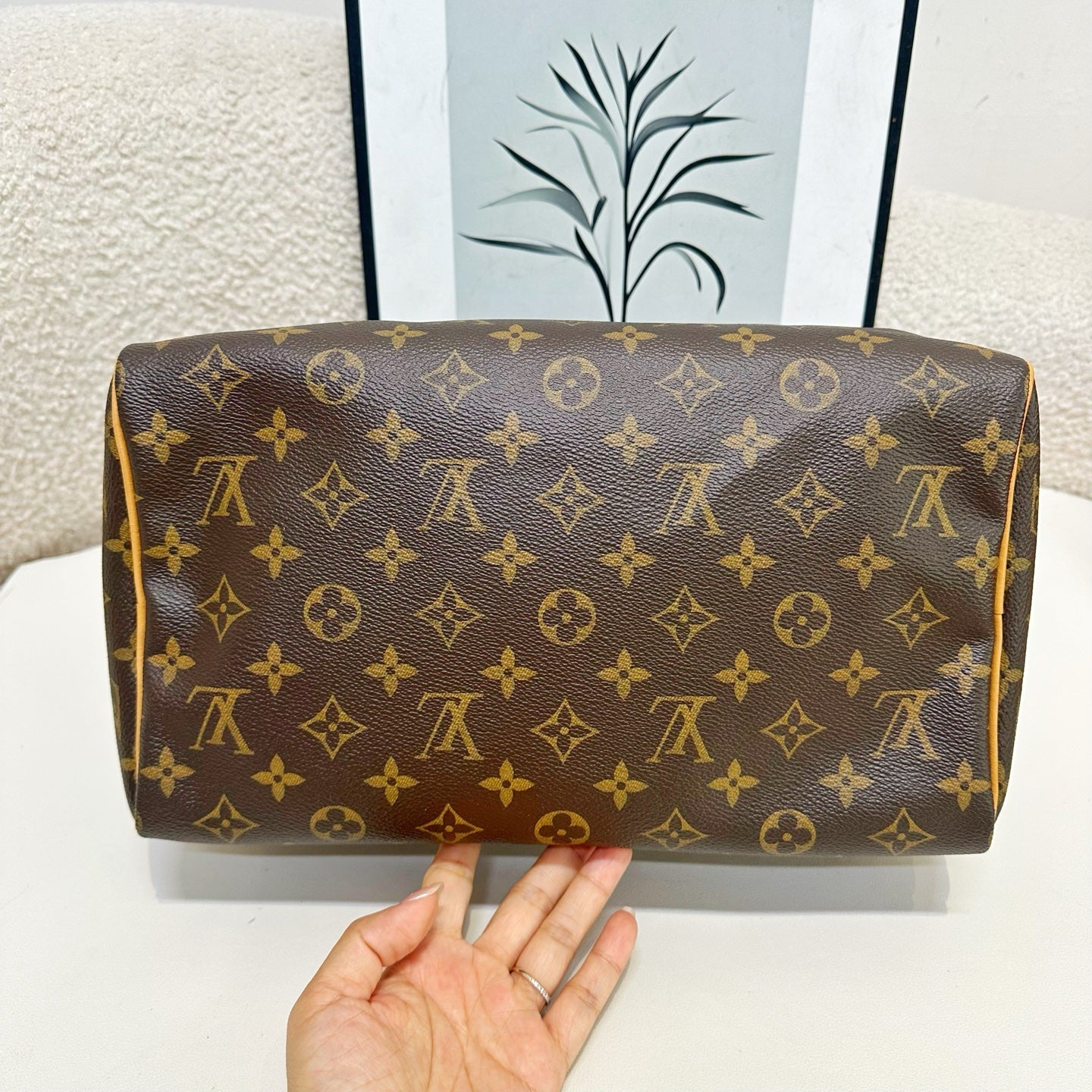 Louis Vuitton - Speedy - Cloth - Brown - (medium)
