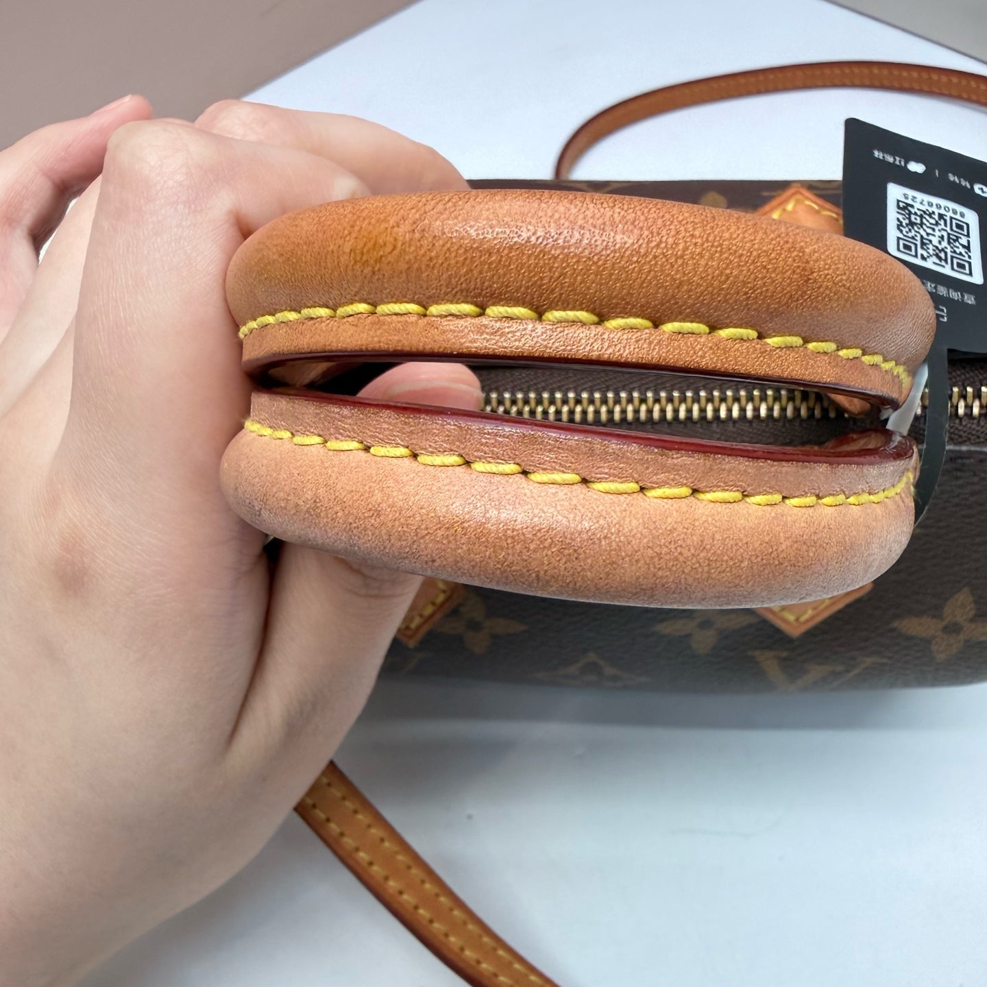Louis Vuitton - Speedy - Cloth - Brown - (mini)