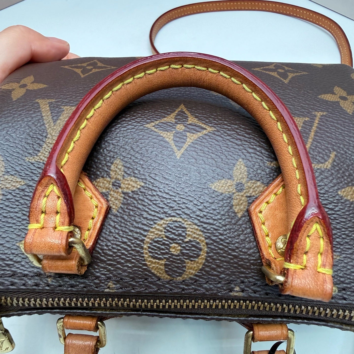 Louis Vuitton - Speedy - Cloth - Brown - (mini)