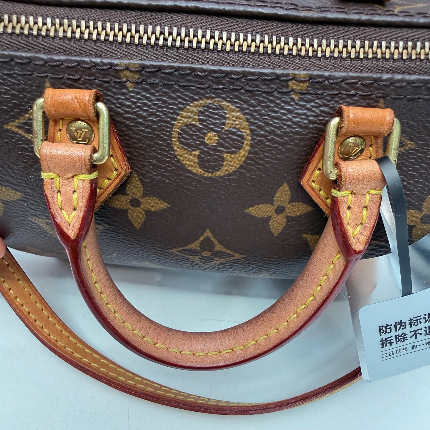 Louis Vuitton - Speedy - Cloth - Brown - (mini)