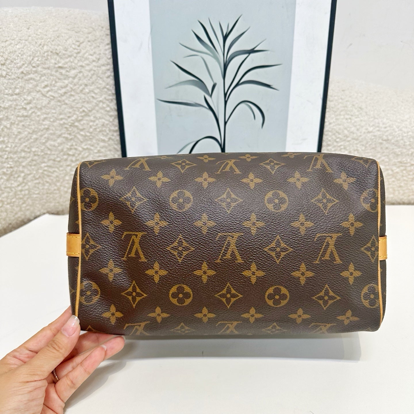 Louis Vuitton - Speedy - Cloth - Brown - (small)