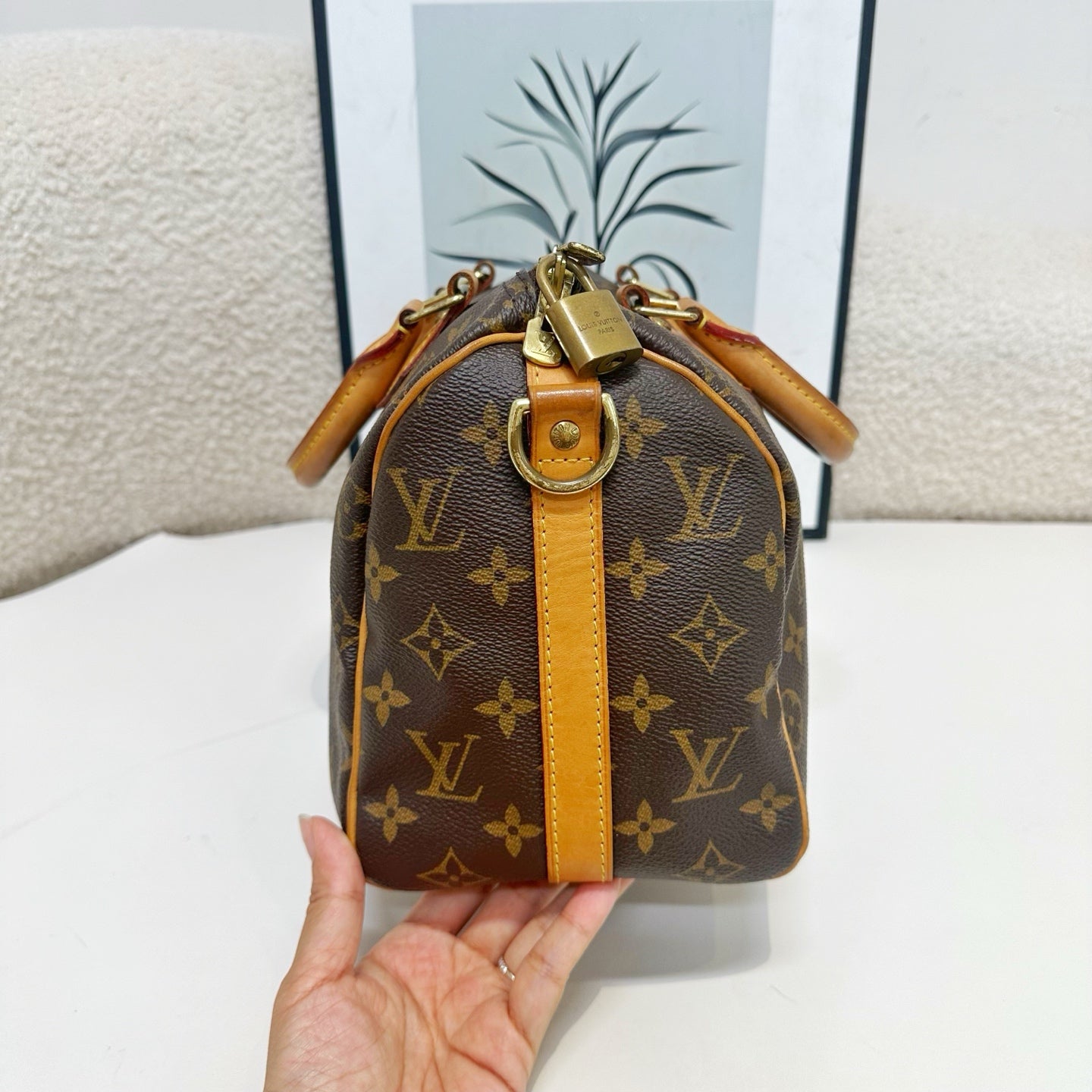 Louis Vuitton - Speedy - Cloth - Brown - (small)