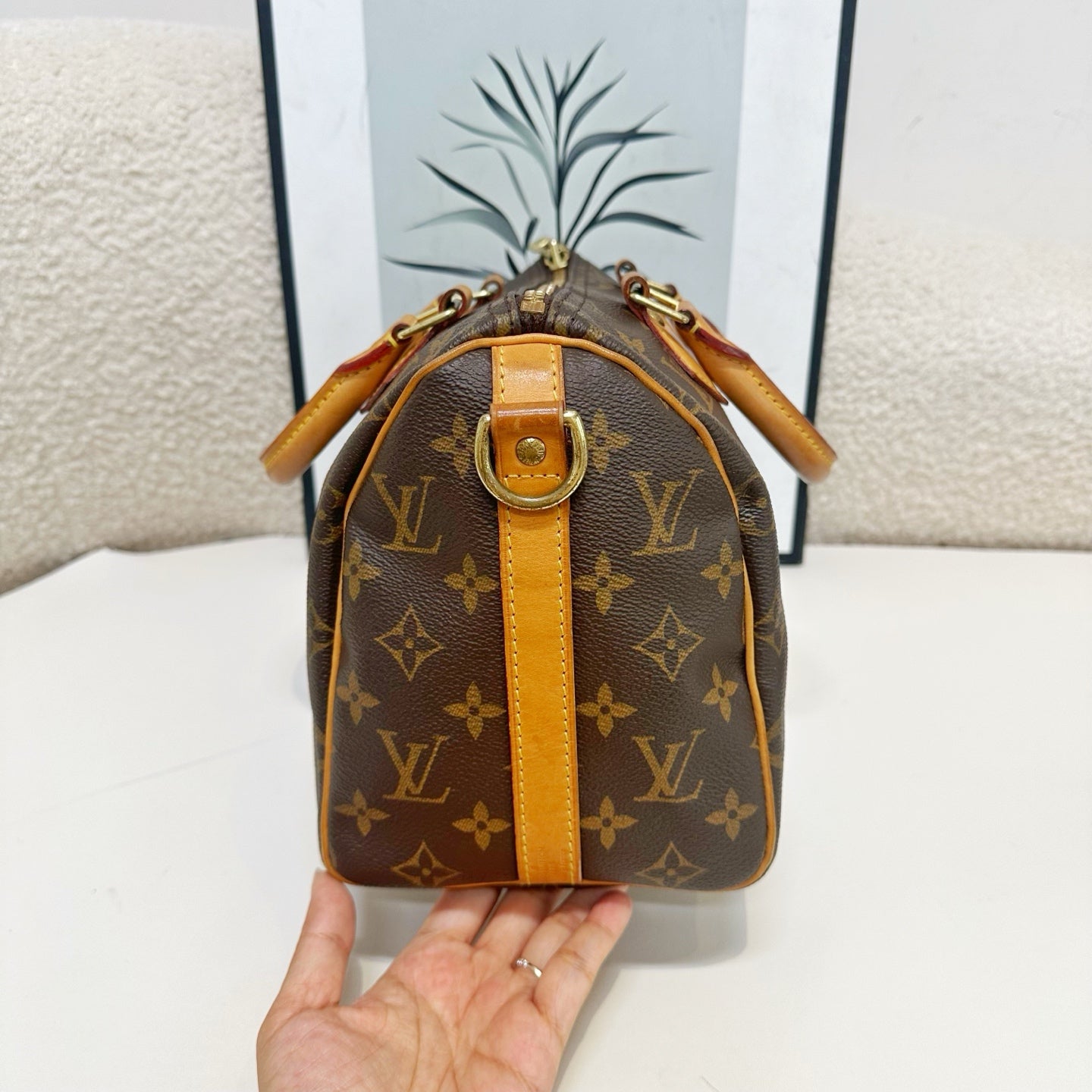 Louis Vuitton - Speedy - Cloth - Brown - (small)