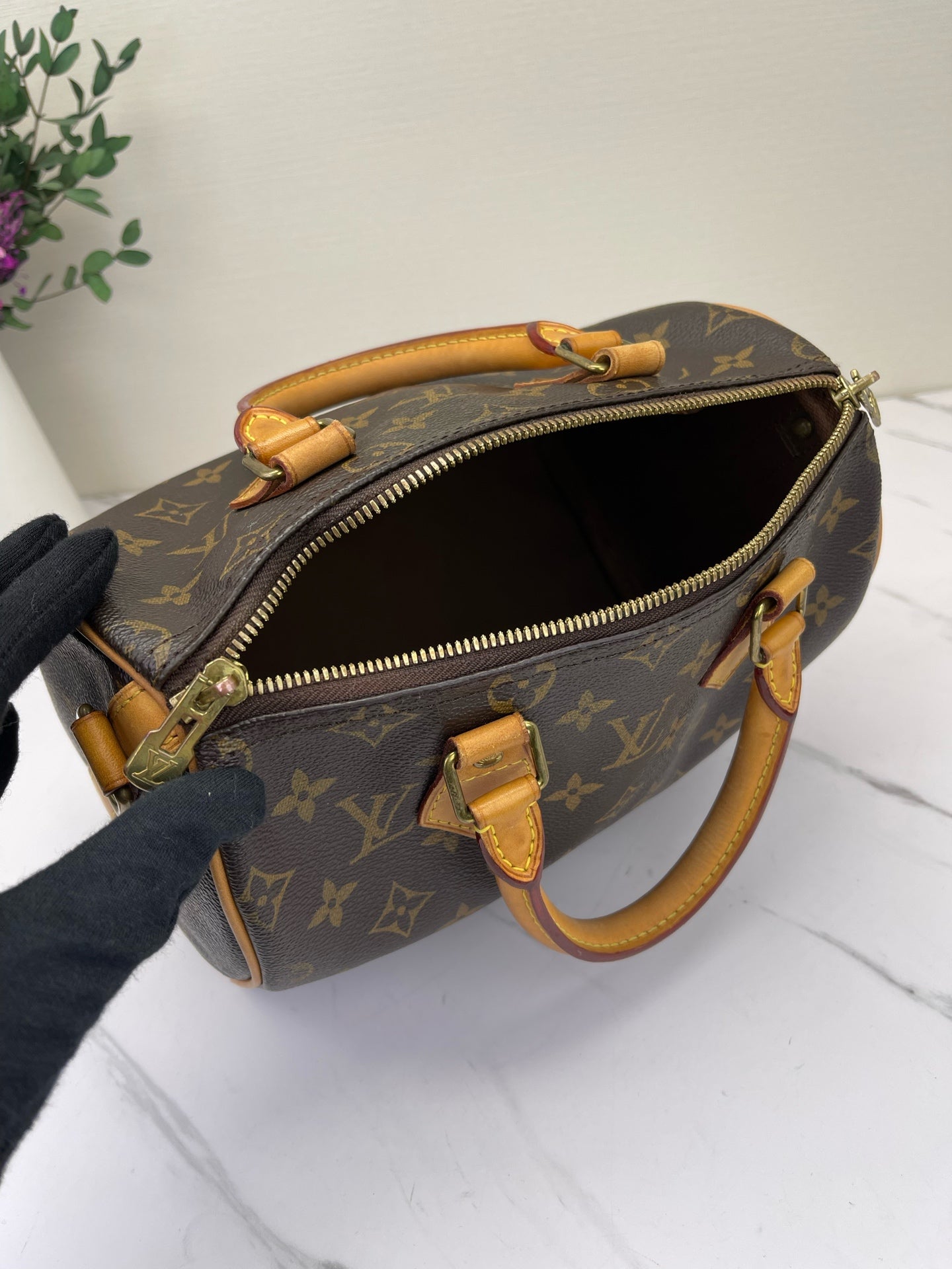 Louis Vuitton - Speedy - Leather - Brown - (Small)