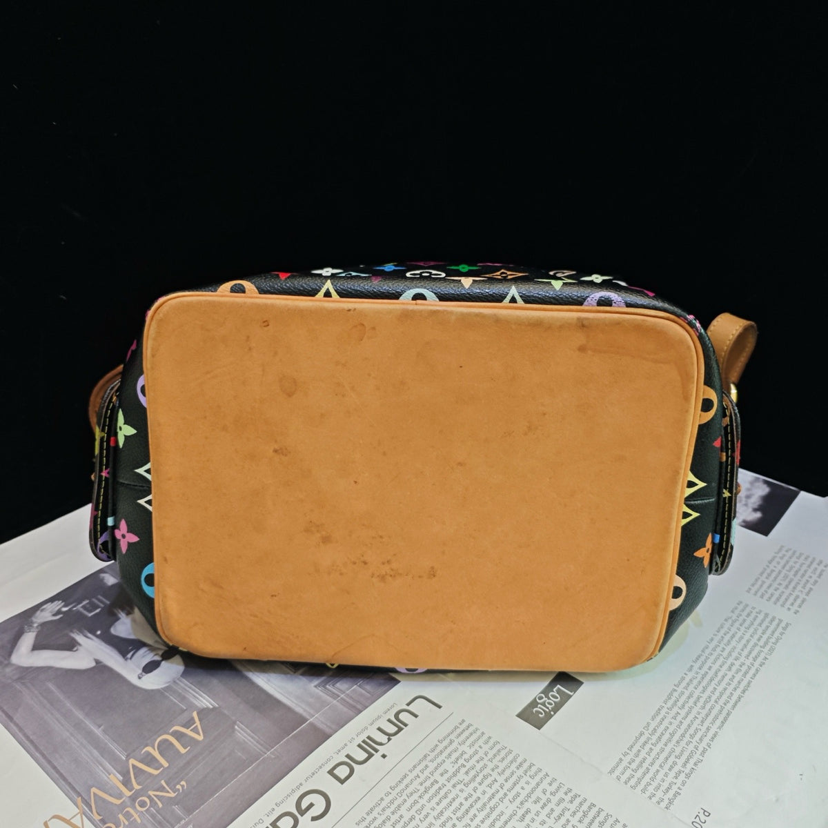 Louis Vuitton - Speedy - Leather - Multicolour - (medium)