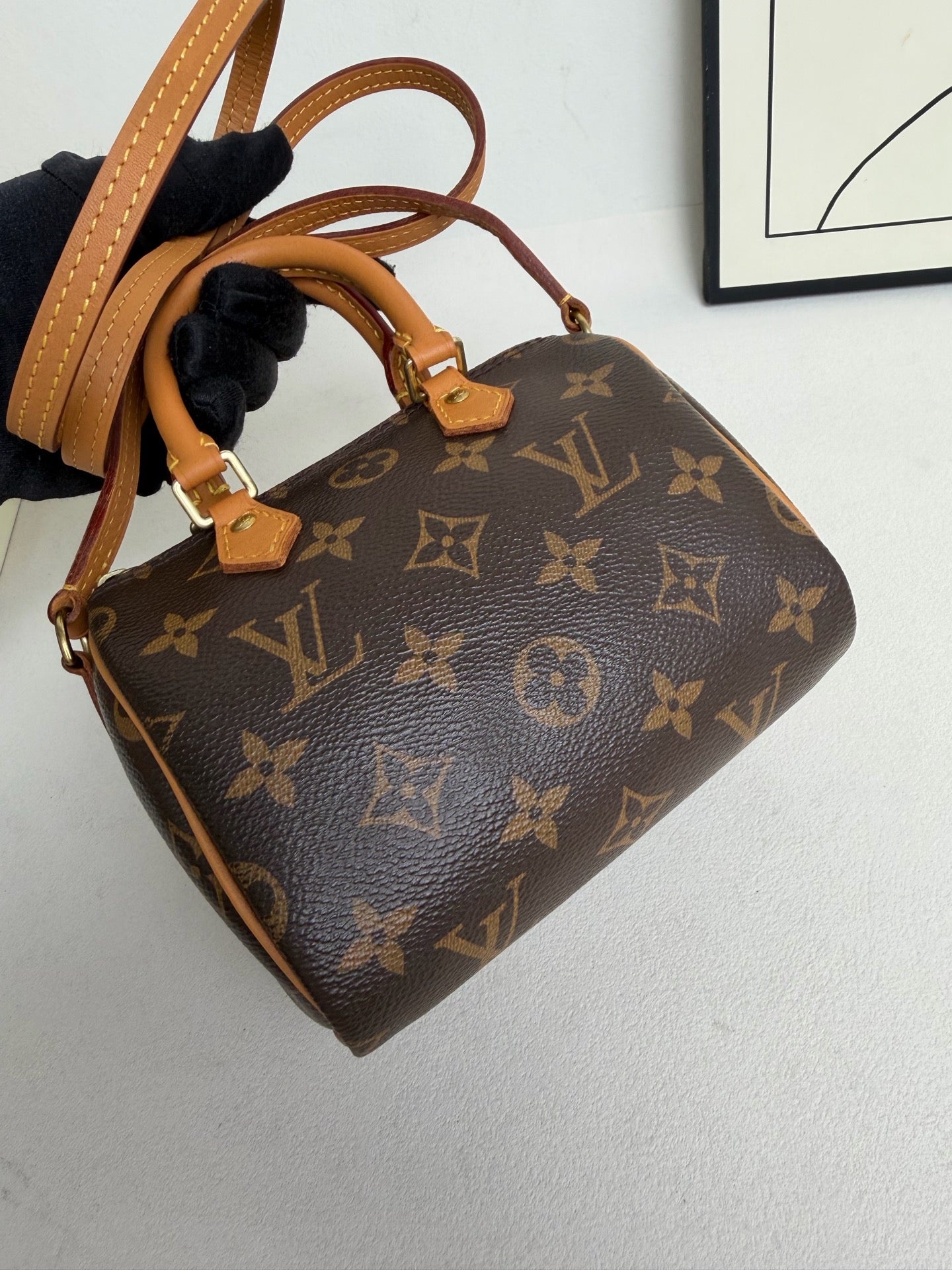Louis Vuitton - Speedy Nano - Leather - Brown - (mini)