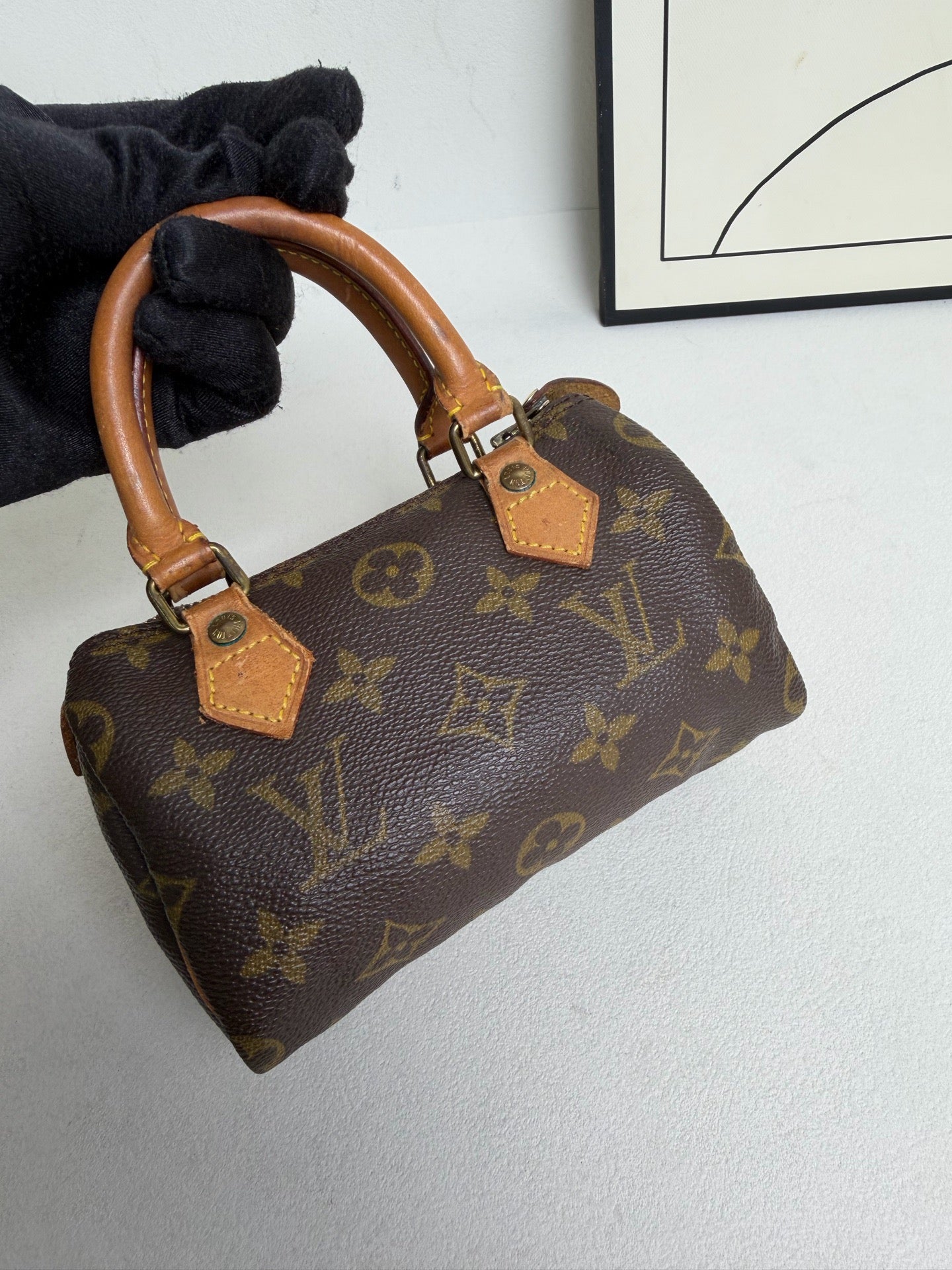 Louis Vuitton - Speedy Nano - Leather - Brown - (mini)