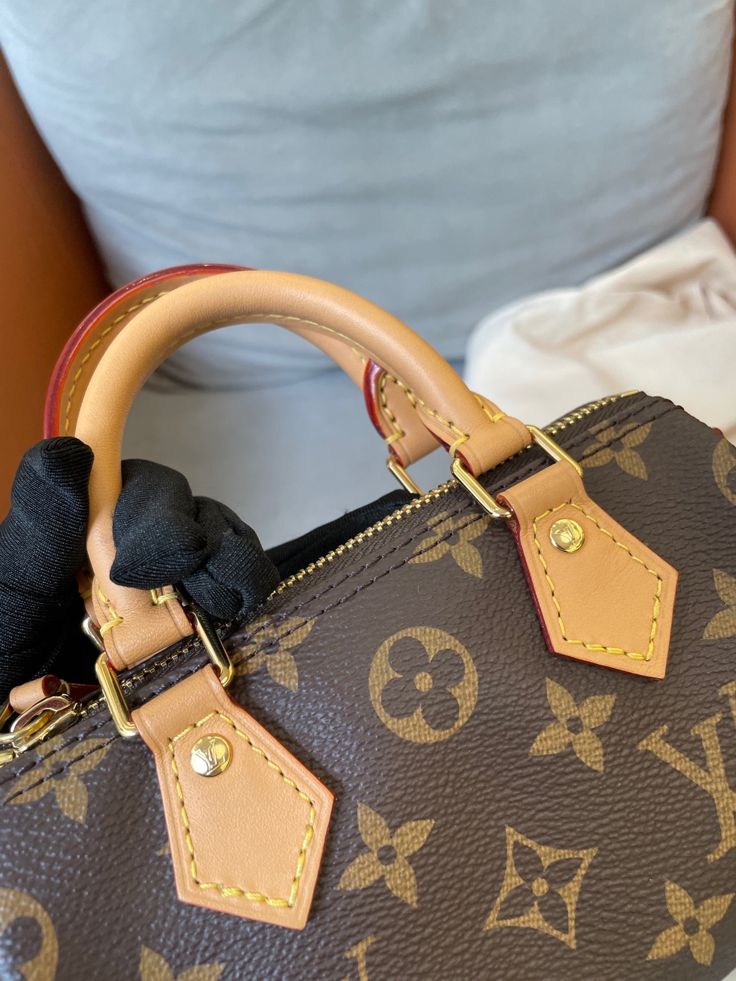 Louis Vuitton - Speedy Nano - Leather - Brown - (mini)