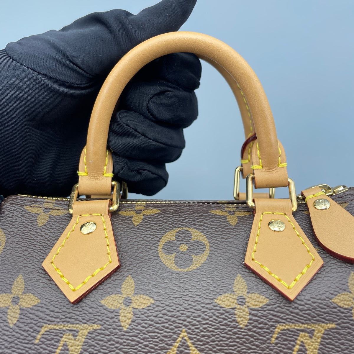Louis Vuitton - Speedy Nano - Leather - Brown - (mini)