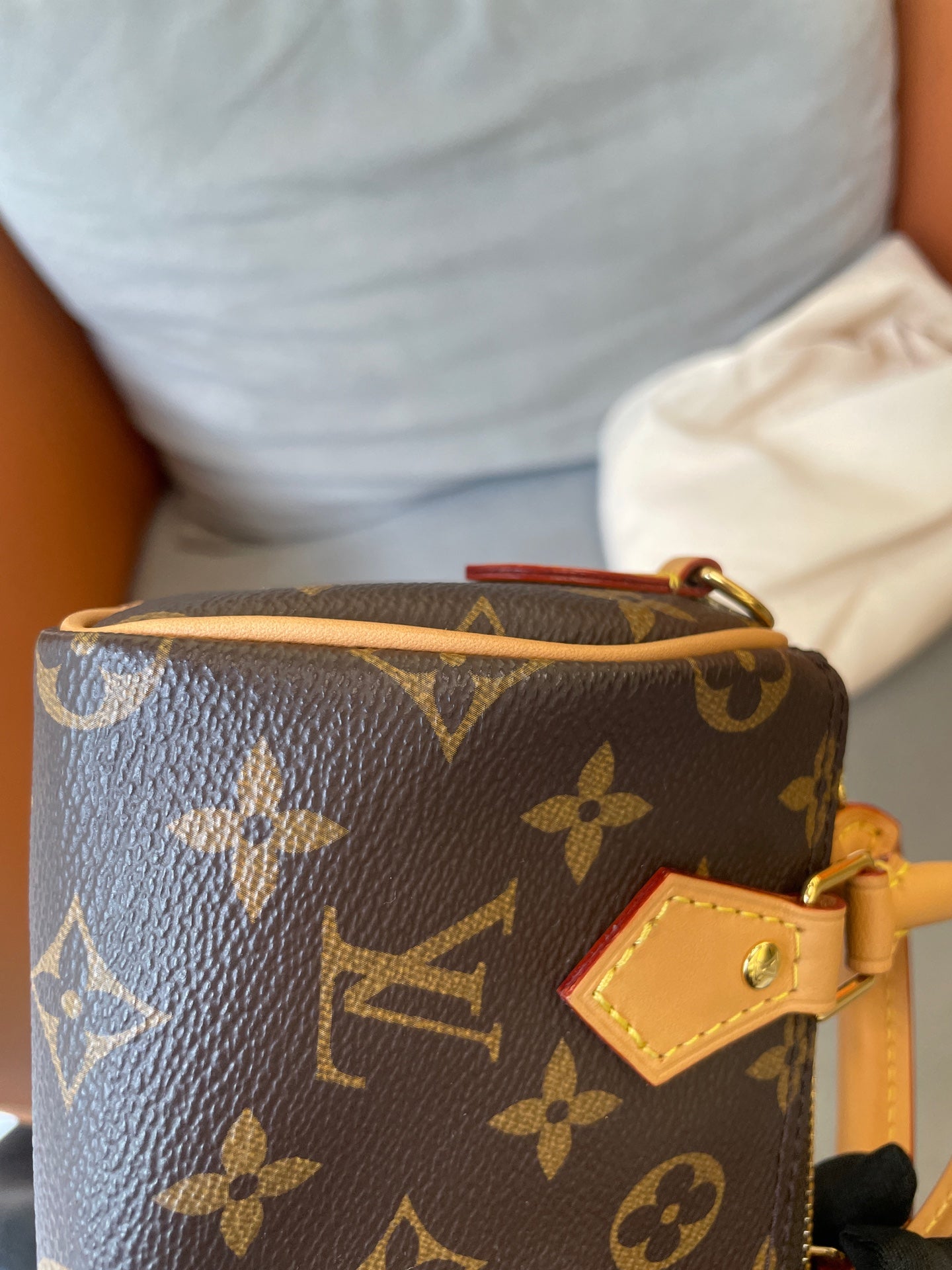 Louis Vuitton - Speedy Nano - Leather - Brown - (mini)