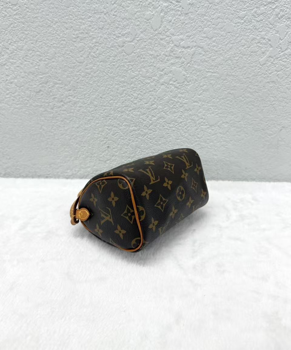 Louis Vuitton - Speedy Nano - Monogram canvas and vachetta leather - Brown - (mini)