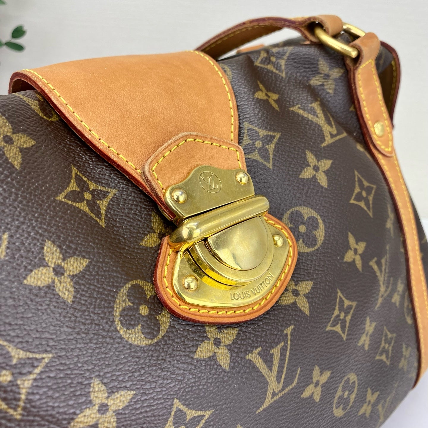 Louis Vuitton - Stresa - Leather - Brown - (Large)