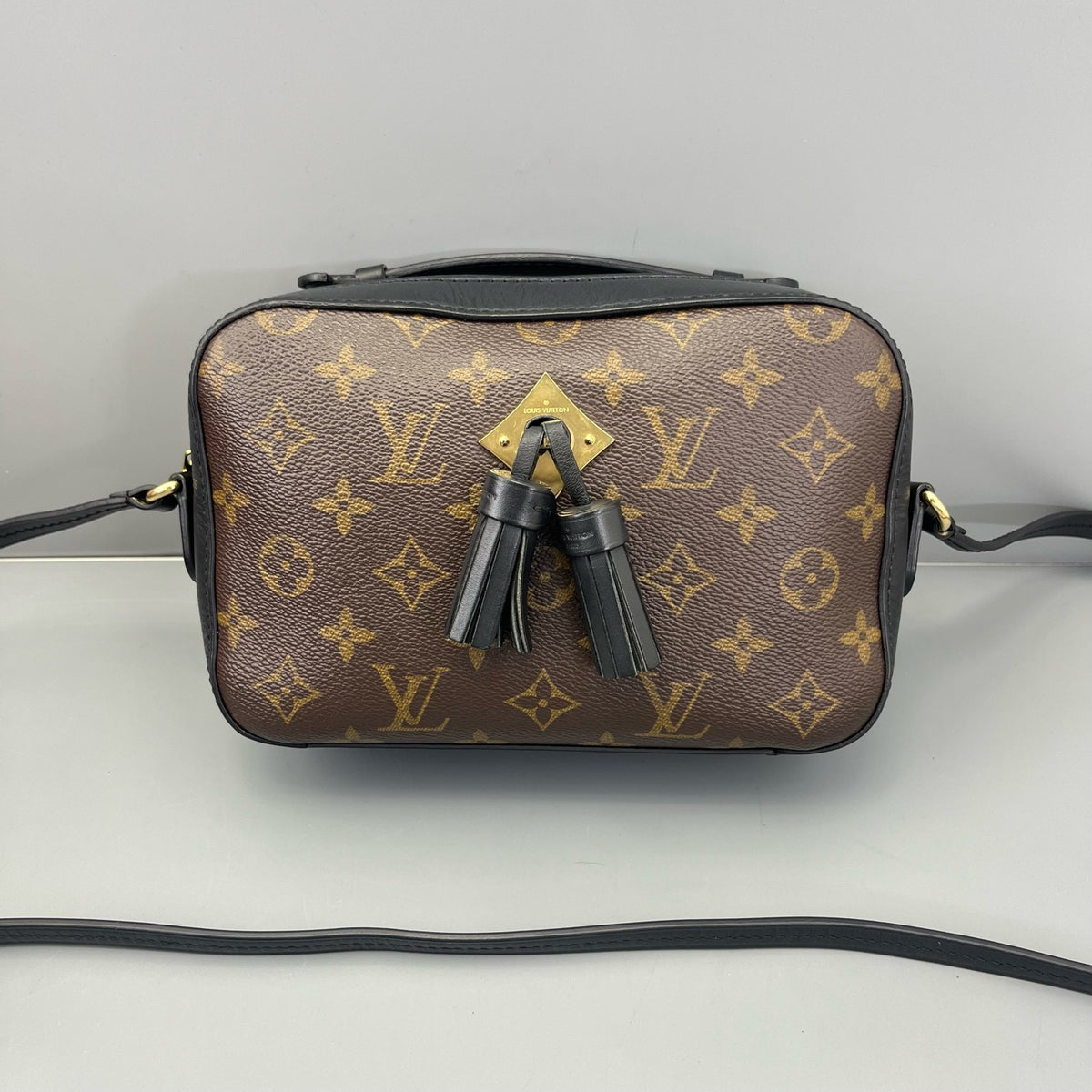 Louis Vuitton - Tassel Camera Bag - Leather - Multicolour - (small)