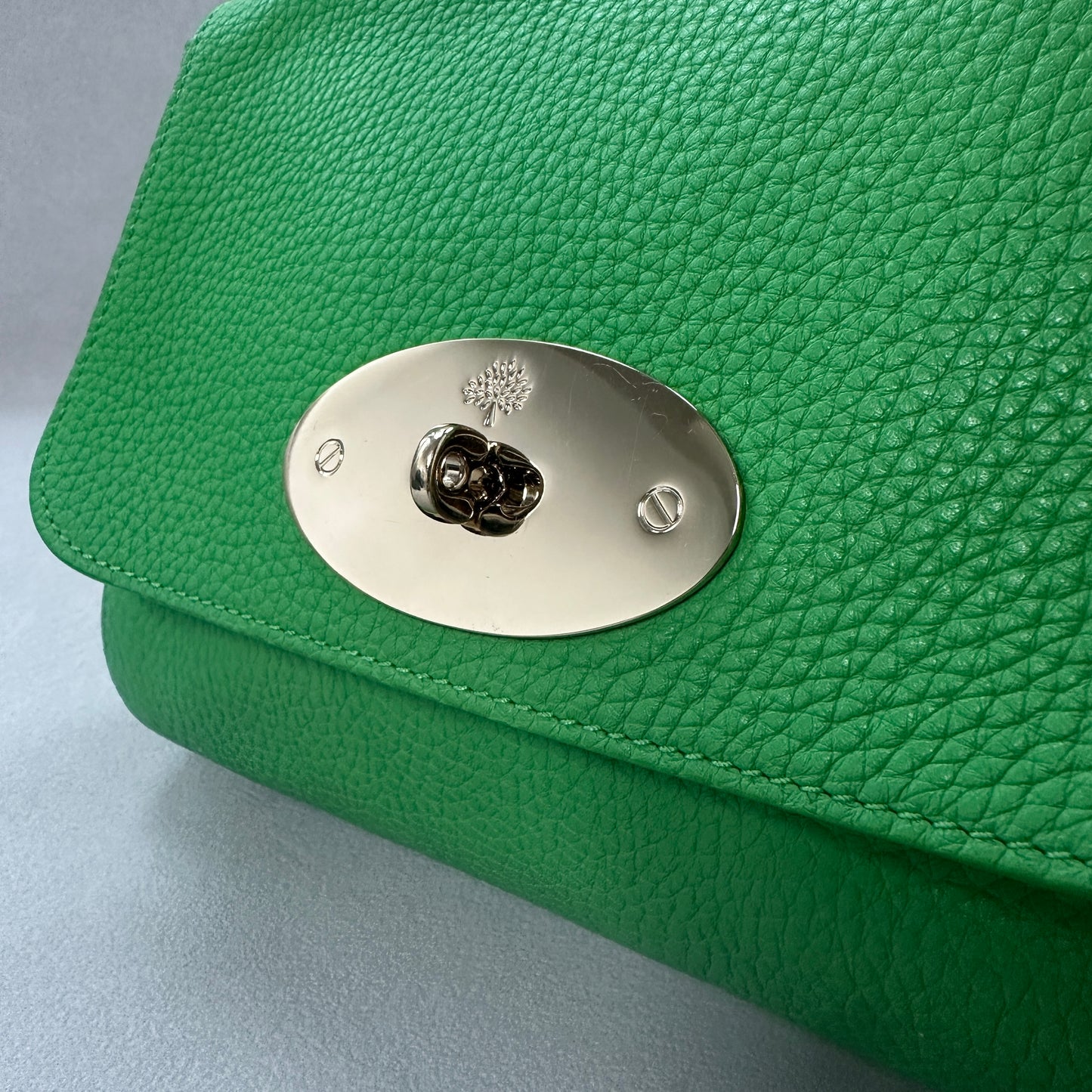 Mulberry - Lily - Leather - Green - (mini)