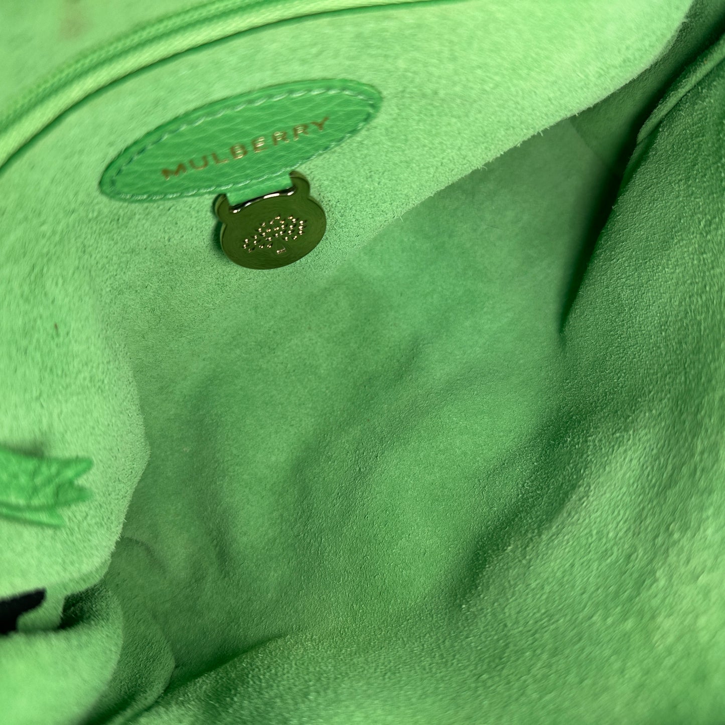 Mulberry - Lily - Leather - Green - (mini)