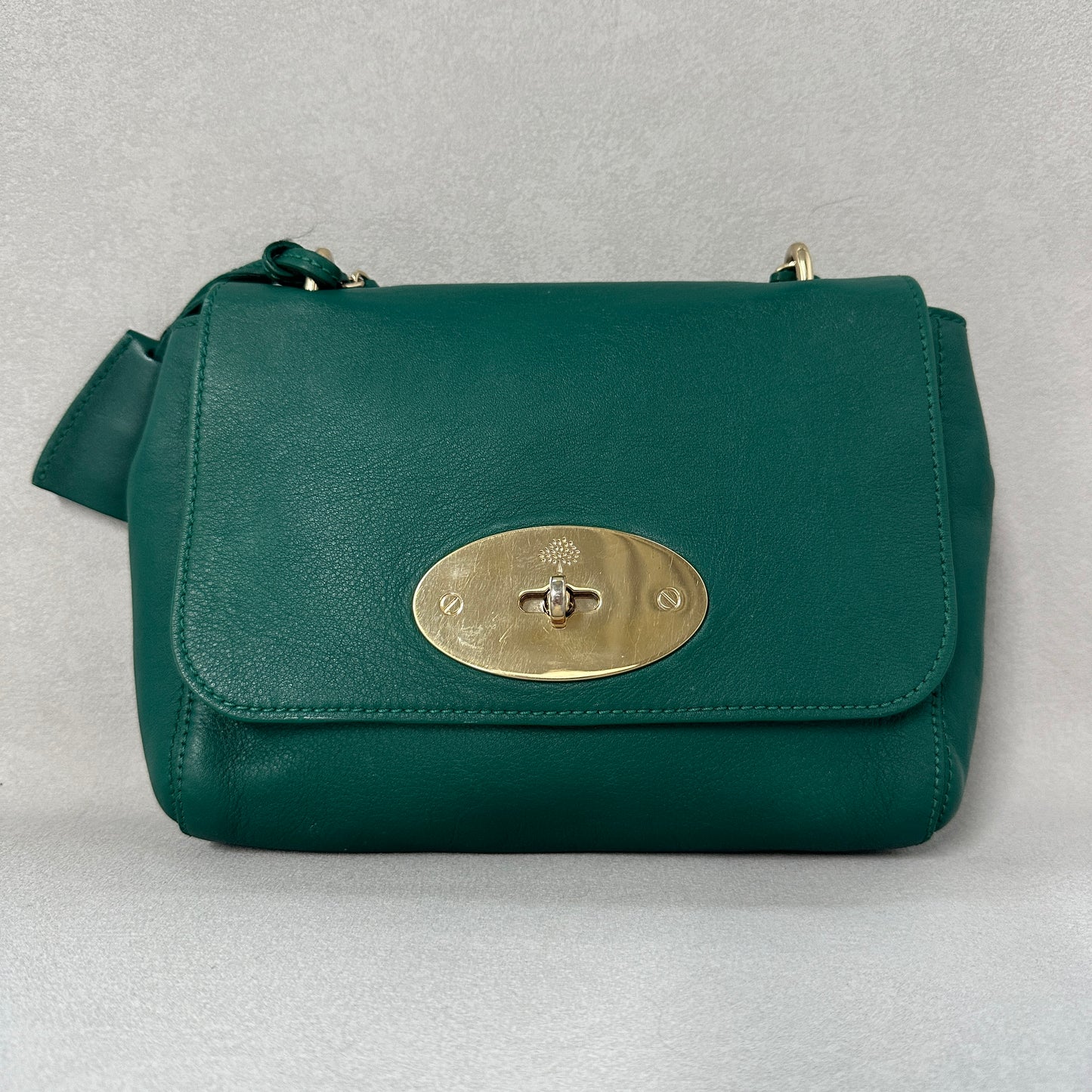 Mulberry - Lily - Leather - Green - (small)
