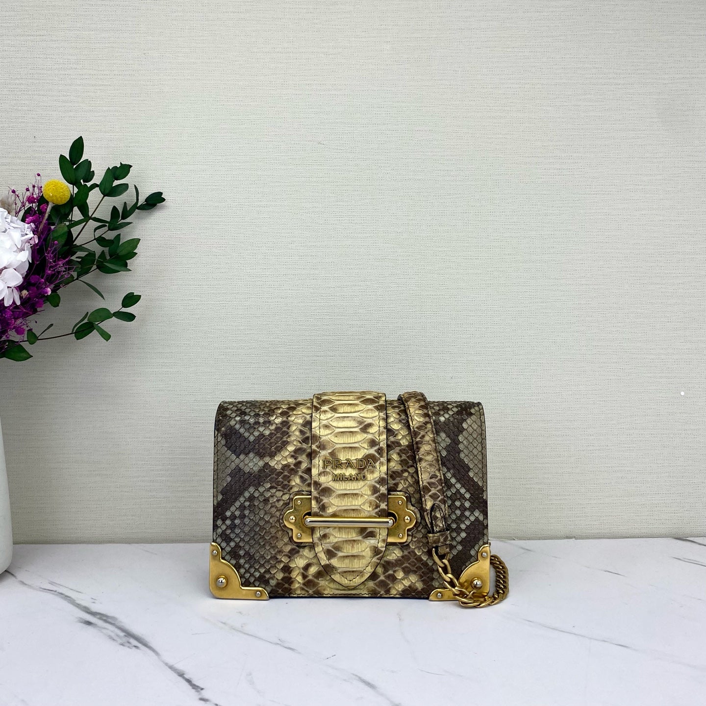 Prada - Cahier - Exotic leathers - Python - Multicolour - (mini)