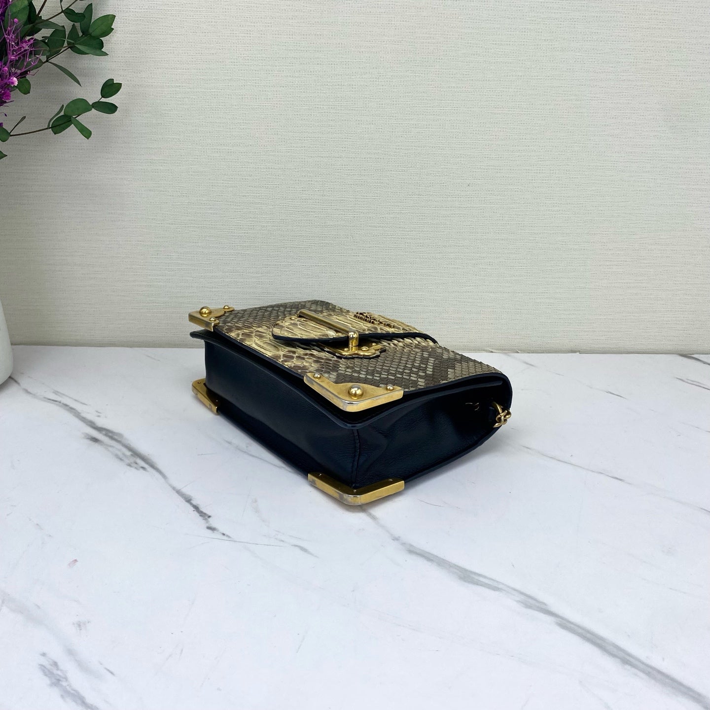 Prada - Cahier - Exotic leathers - Python - Multicolour - (mini)