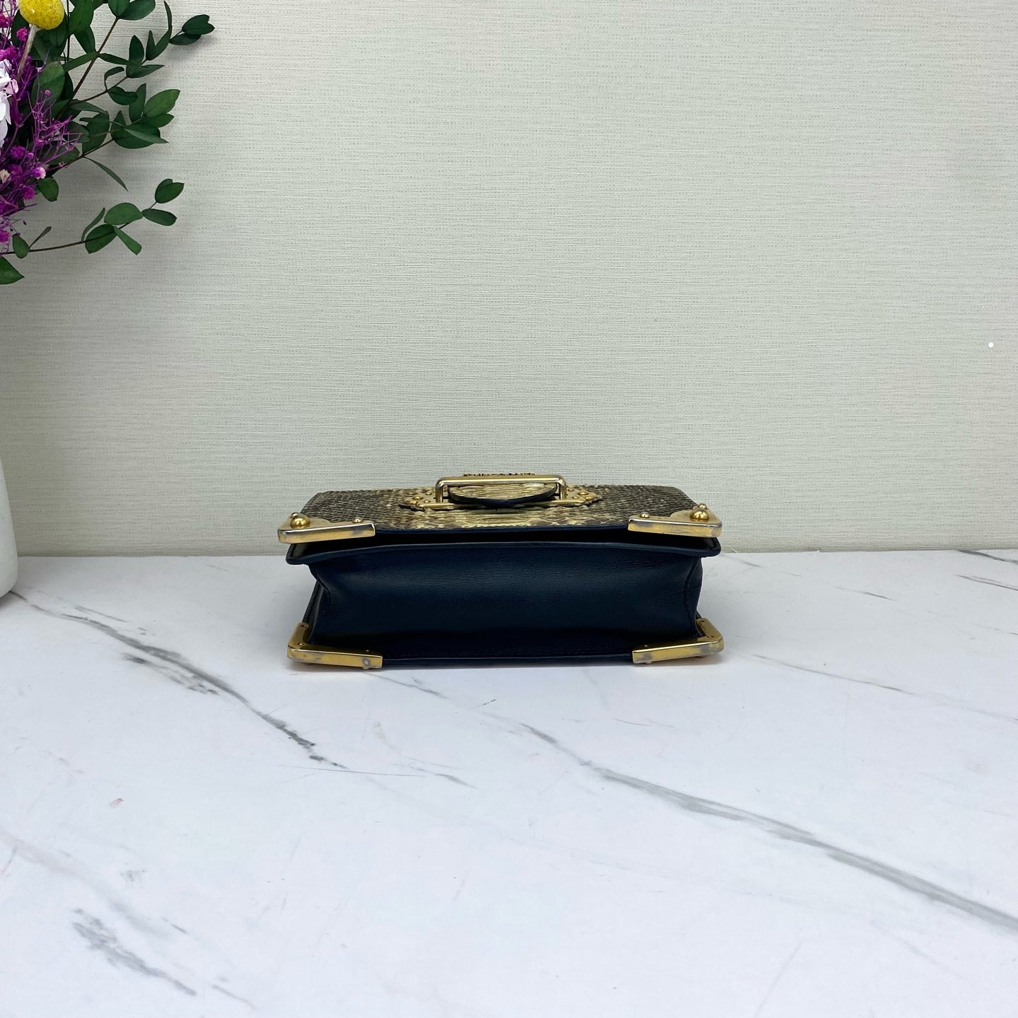Prada - Cahier - Exotic leathers - Python - Multicolour - (mini)