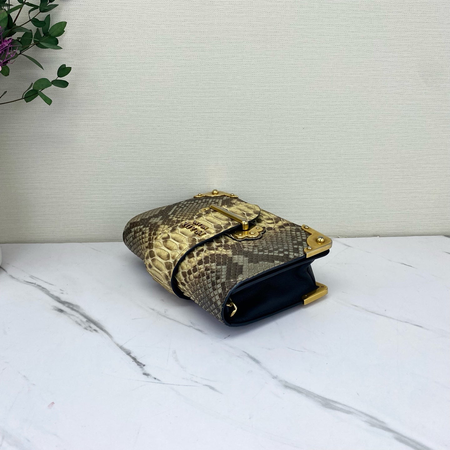 Prada - Cahier - Exotic leathers - Python - Multicolour - (mini)
