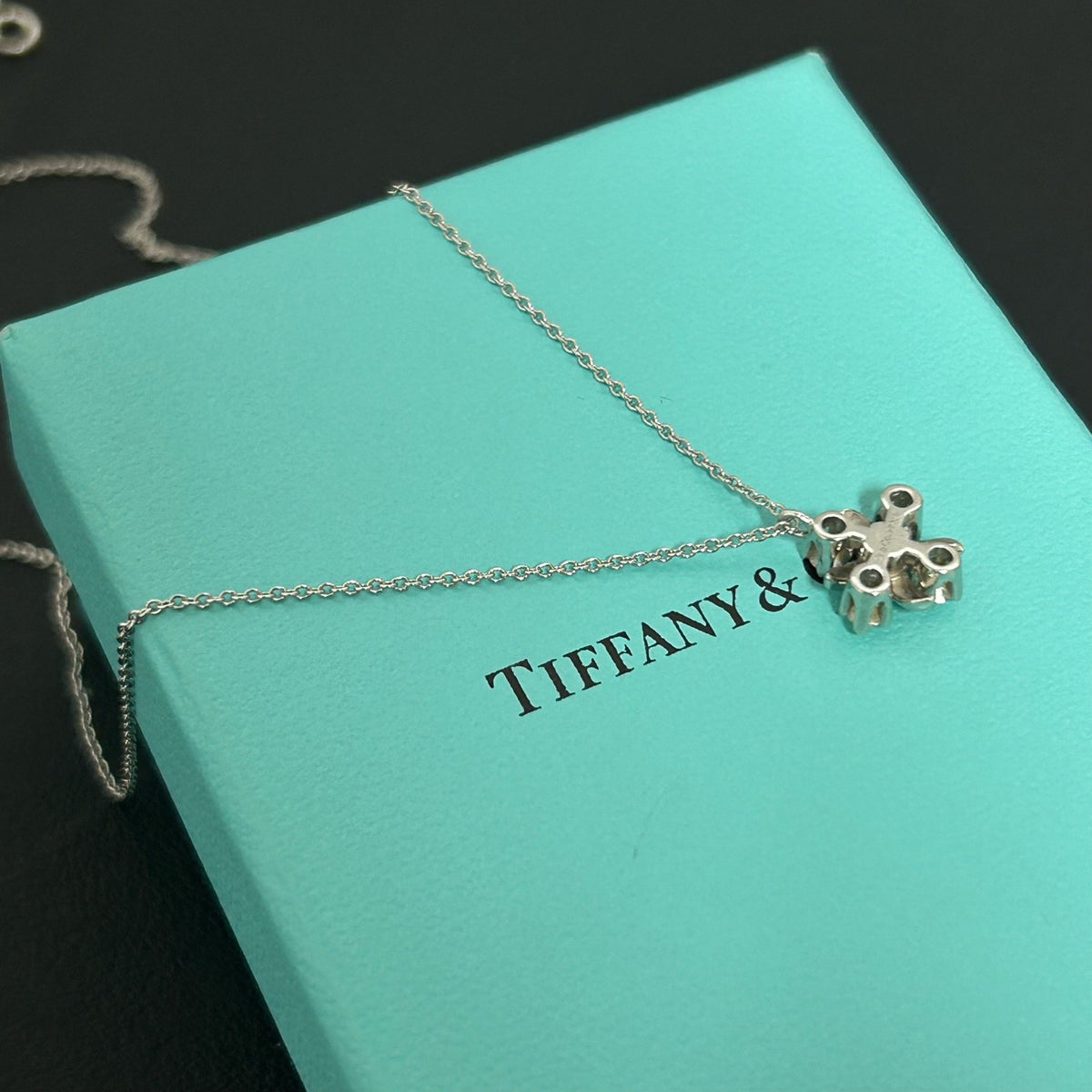 Tiffany & Co. - Jean Schlumberger Lynn - 950 platinum with diamond accents - Silver