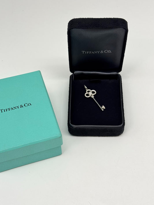 Tiffany & Co - Other - White gold - Silver